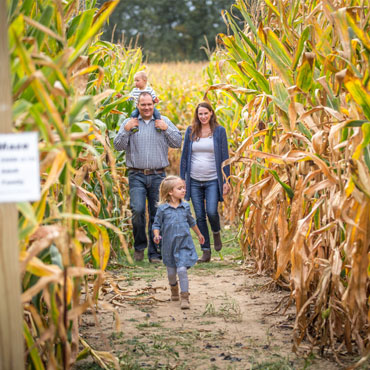 corn maze