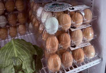 chicken eggs